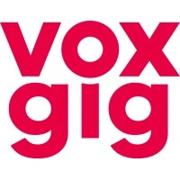 VoxGig Limited - Real-time data analytics platform built with Node.js and Python, processing millions of tweets with Vespa.ai